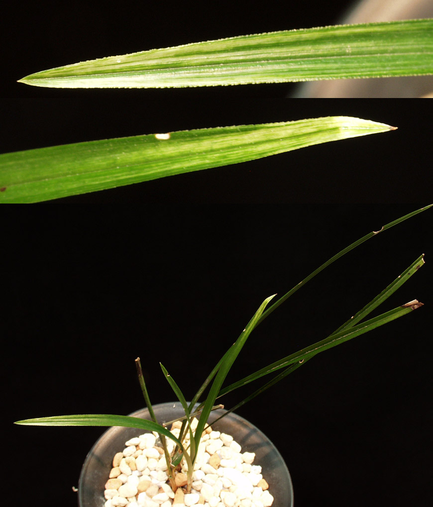 ������ ū������ �� �� �ֽ��ϴ�.