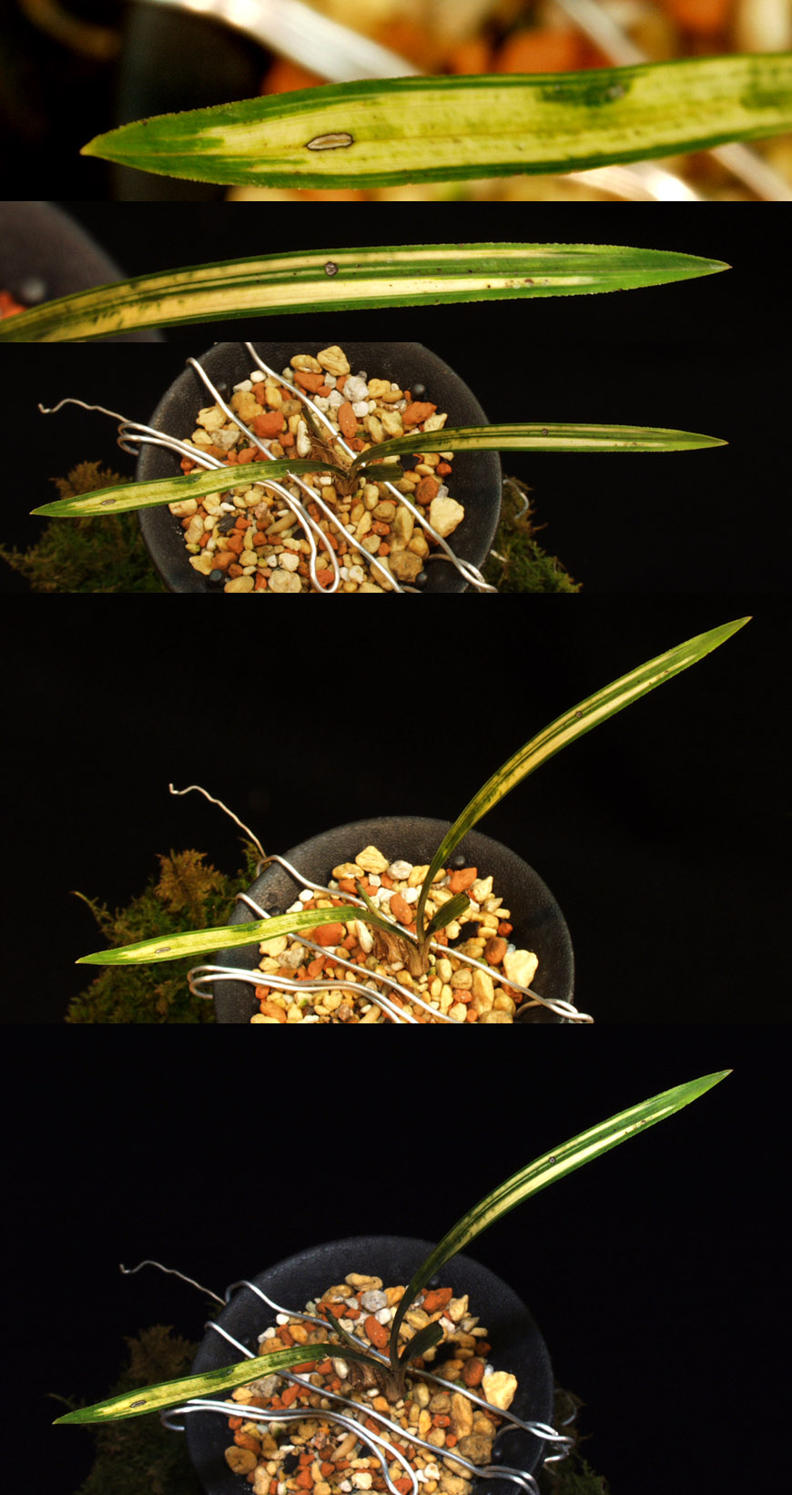 ������ ū������ �� �� �ֽ��ϴ�.