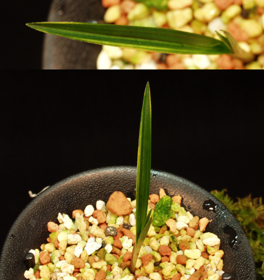 ������ ū������ �� �� �ֽ��ϴ�.