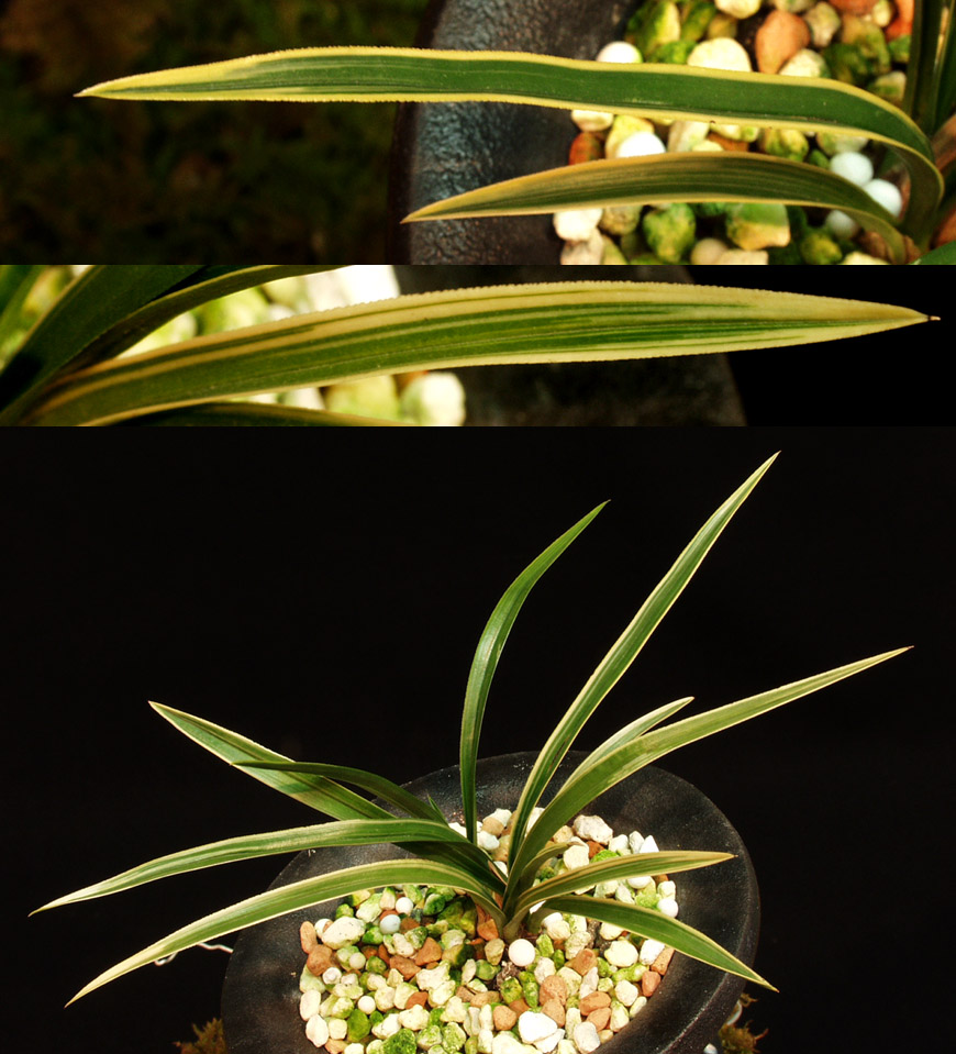 ������ ū������ �� �� �ֽ��ϴ�.