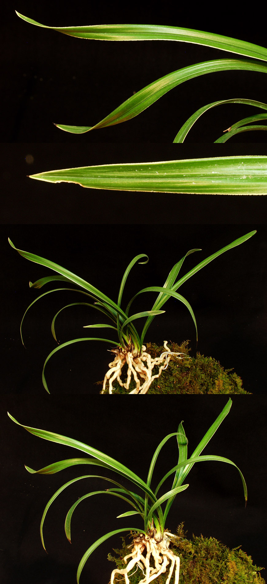 ������ ū������ �� �� �ֽ��ϴ�.