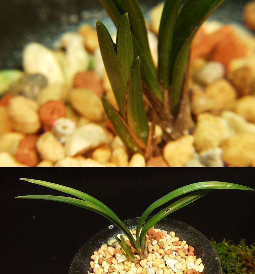 ������ ū������ �� �� �ֽ��ϴ�.