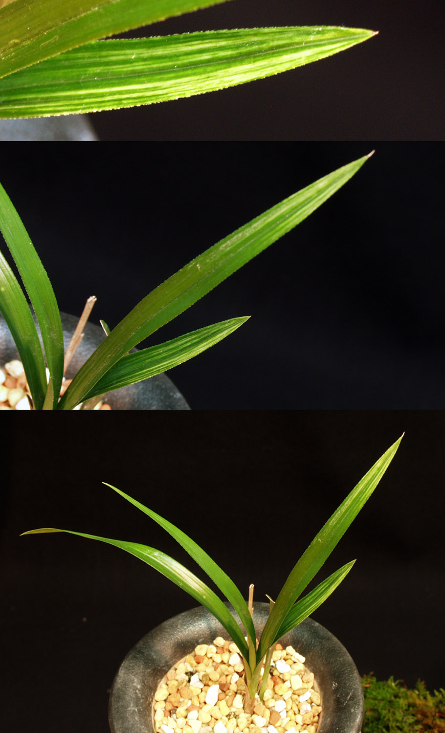 ������ ū������ �� �� �ֽ��ϴ�.