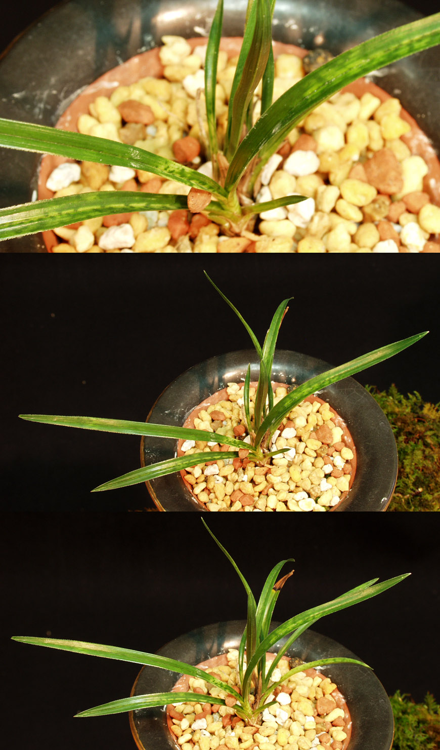 ������ ū������ �� �� �ֽ��ϴ�.