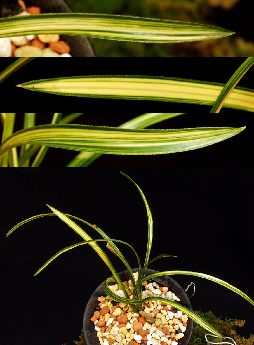 ������ ū������ �� �� �ֽ��ϴ�.