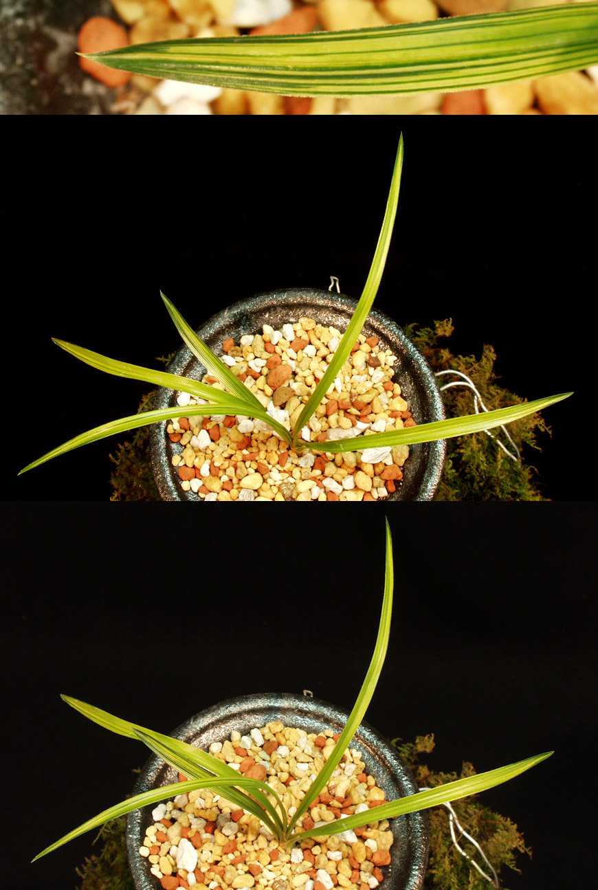 ������ ū������ �� �� �ֽ��ϴ�.