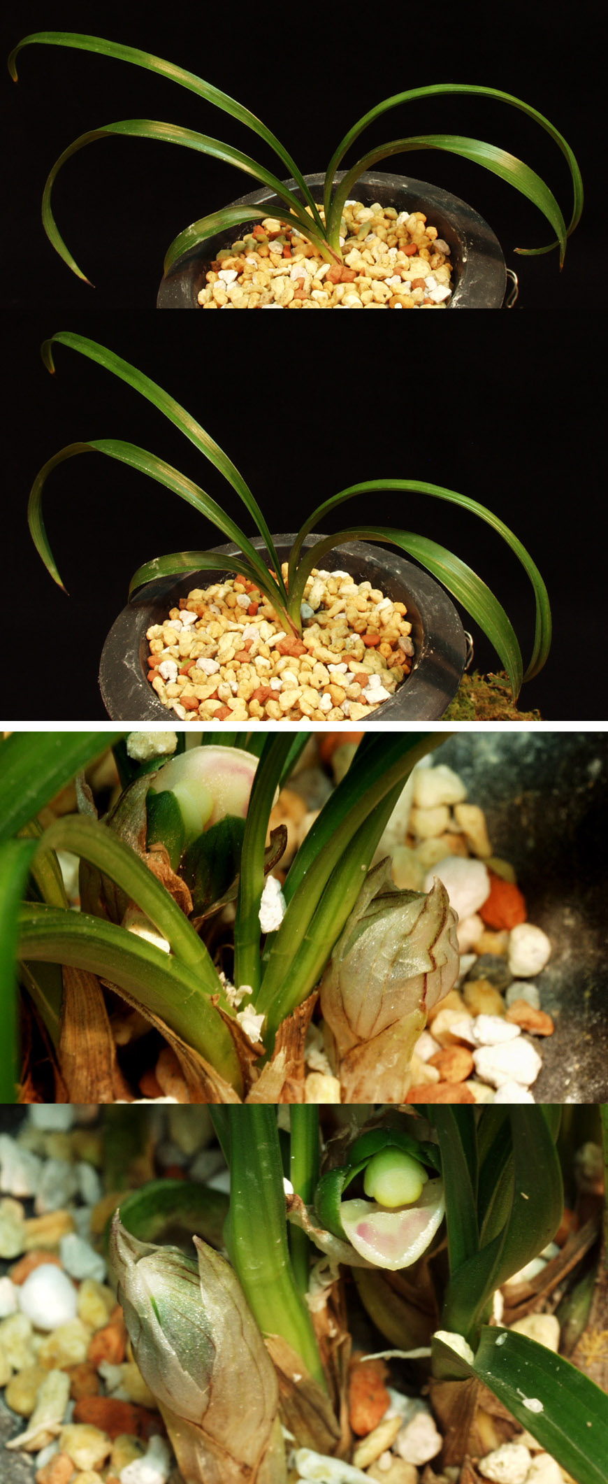 ������ ū������ �� �� �ֽ��ϴ�.