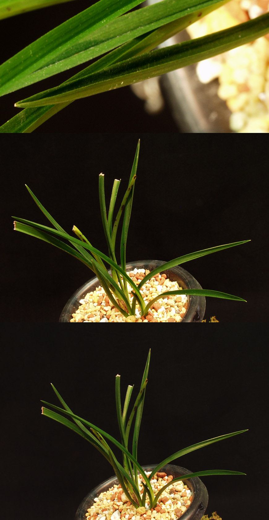 ������ ū������ �� �� �ֽ��ϴ�.