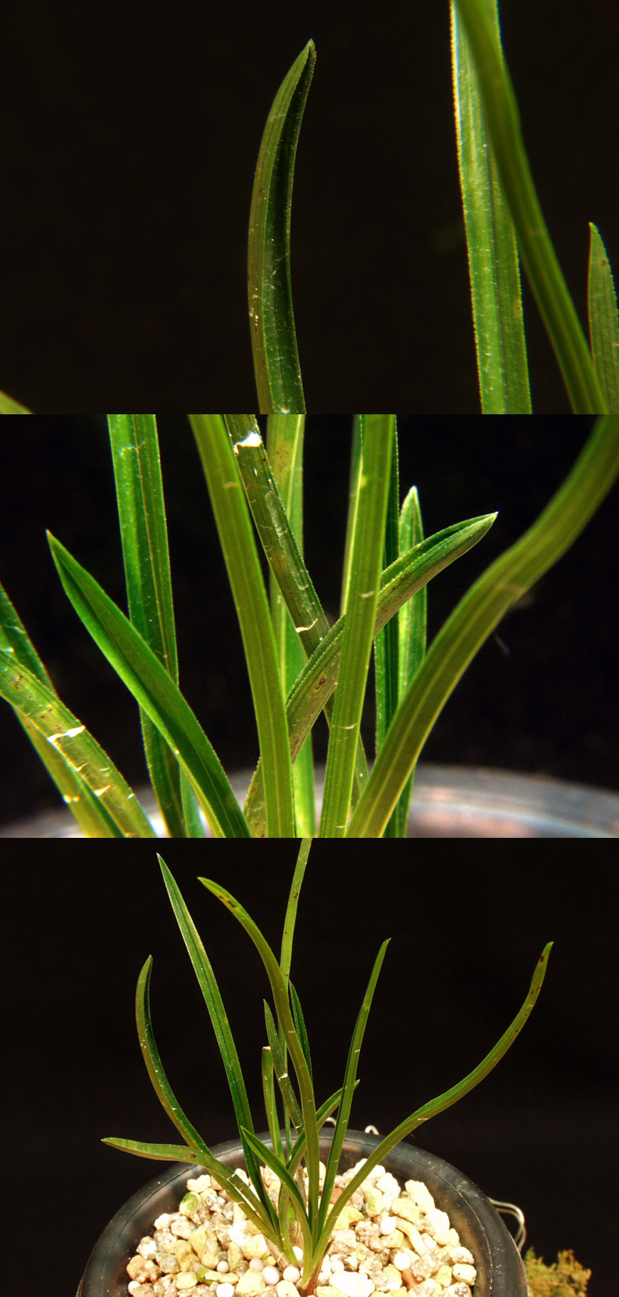 ������ ū������ �� �� �ֽ��ϴ�.