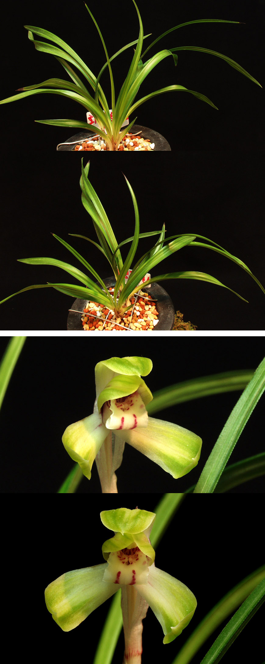 ������ ū������ �� �� �ֽ��ϴ�.