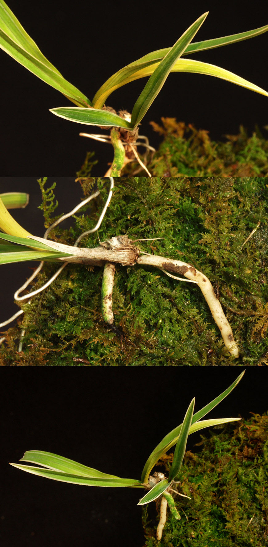 ������ ū������ �� �� �ֽ��ϴ�.