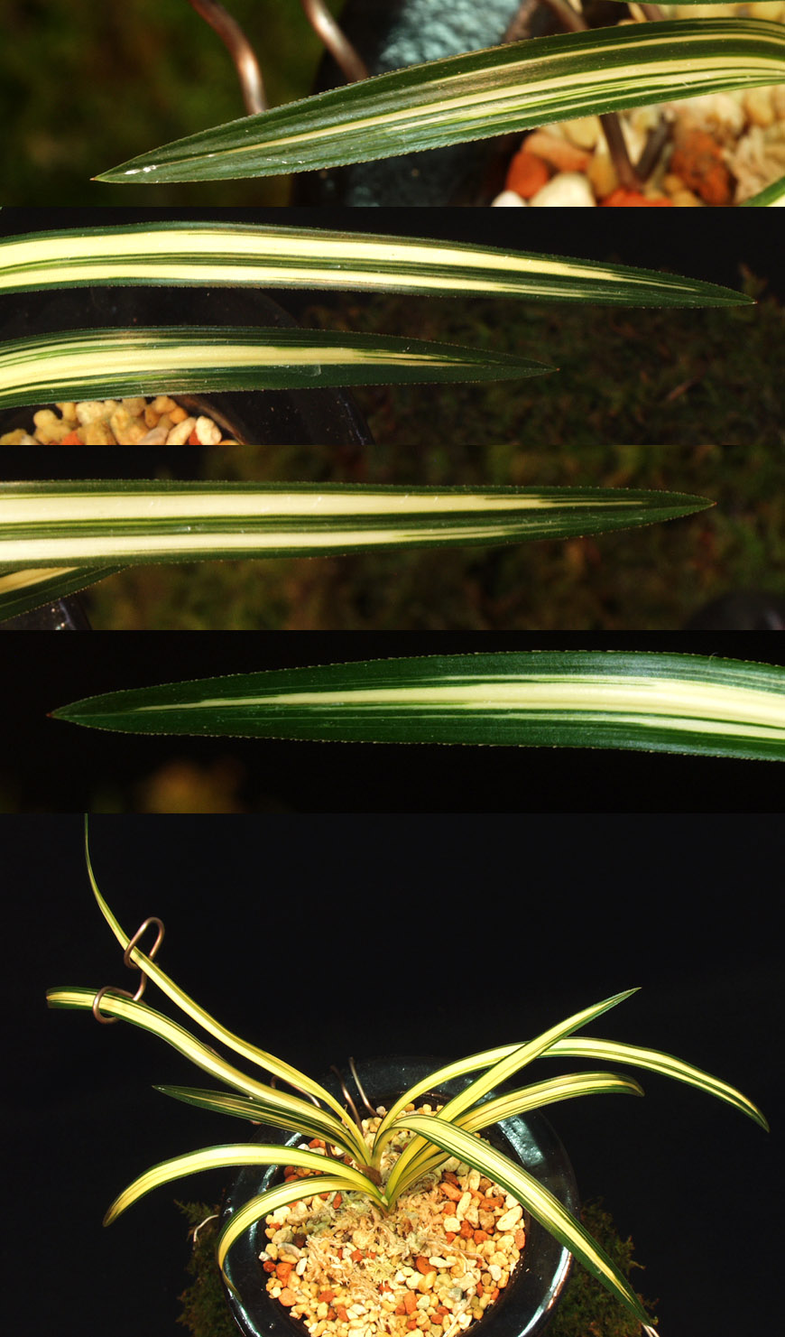 ������ ū������ �� �� �ֽ��ϴ�.