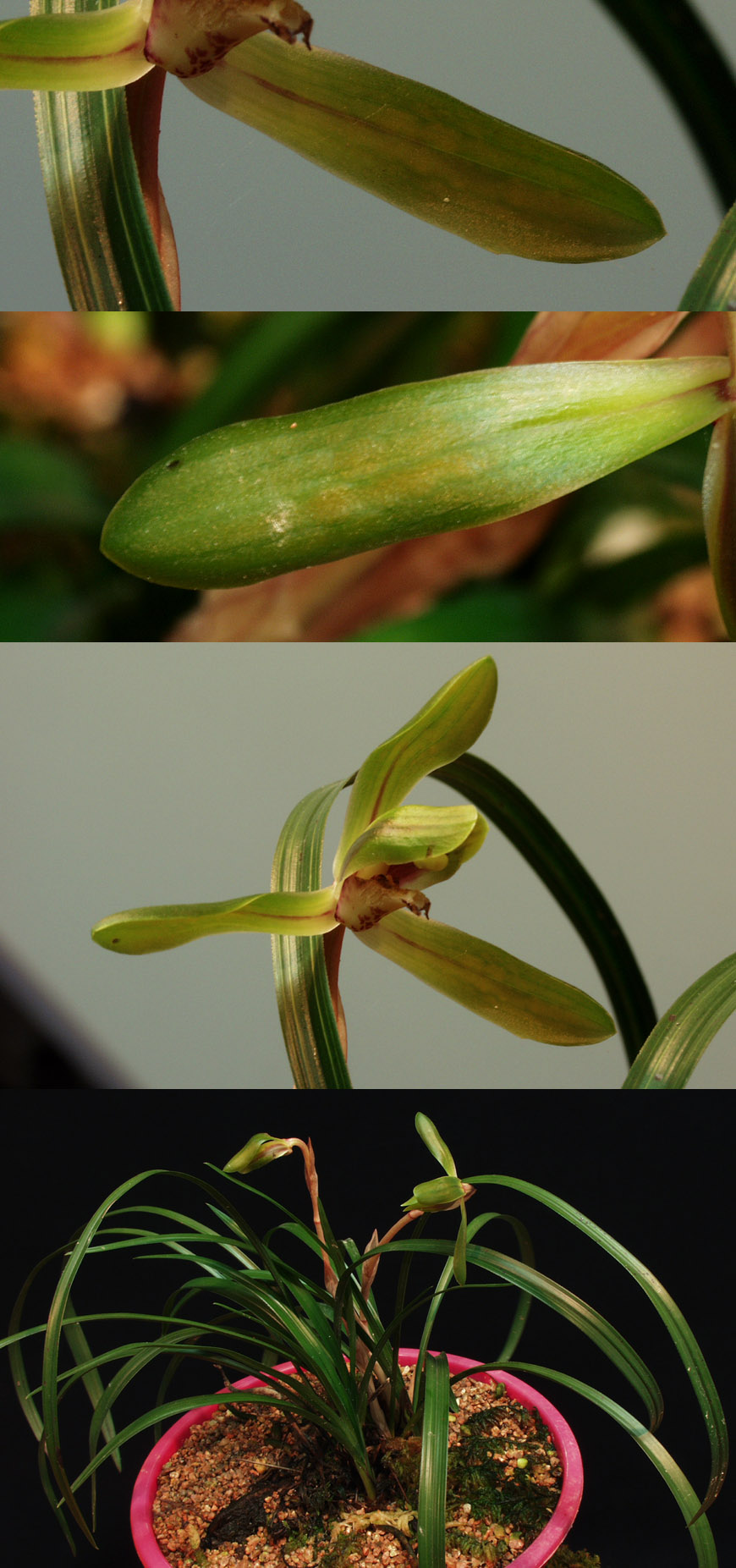 ������ ū������ �� �� �ֽ��ϴ�.