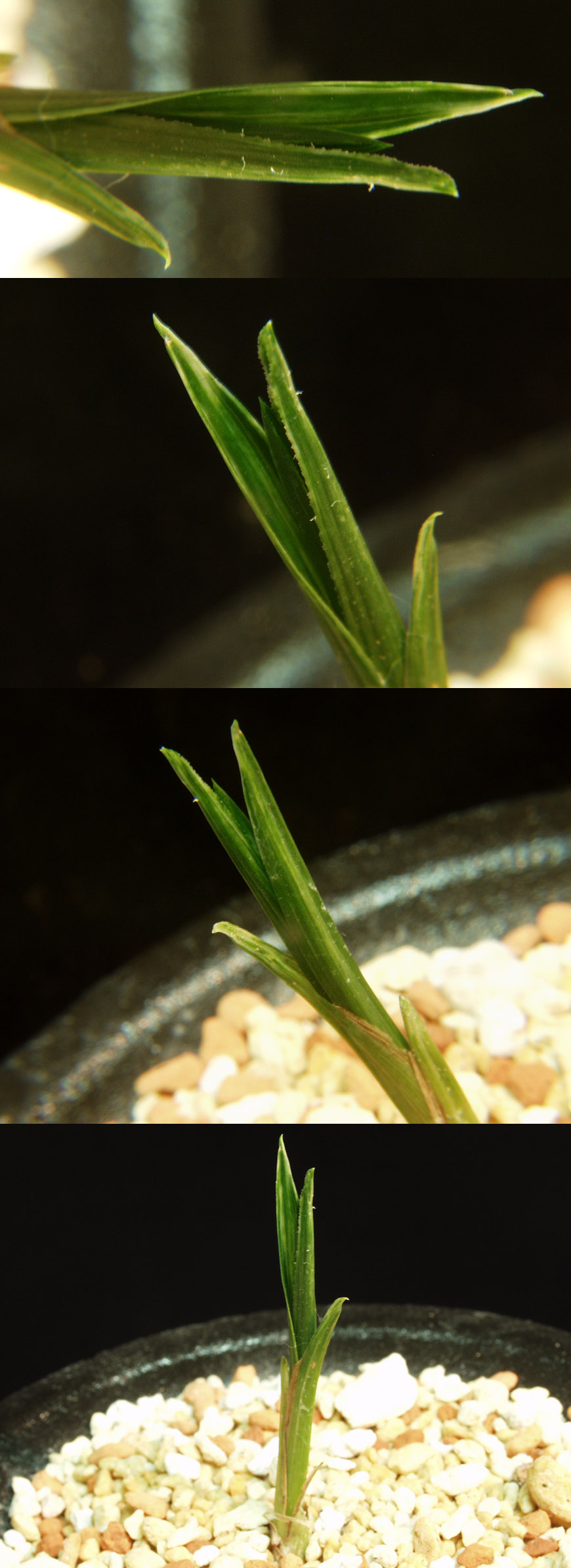 ������ ū������ �� �� �ֽ��ϴ�.