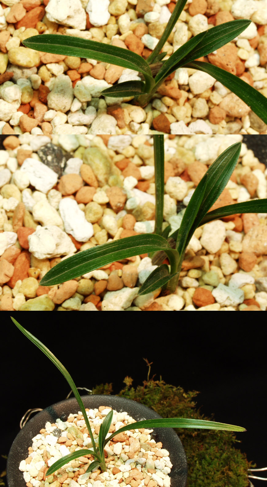 ������ ū������ �� �� �ֽ��ϴ�.