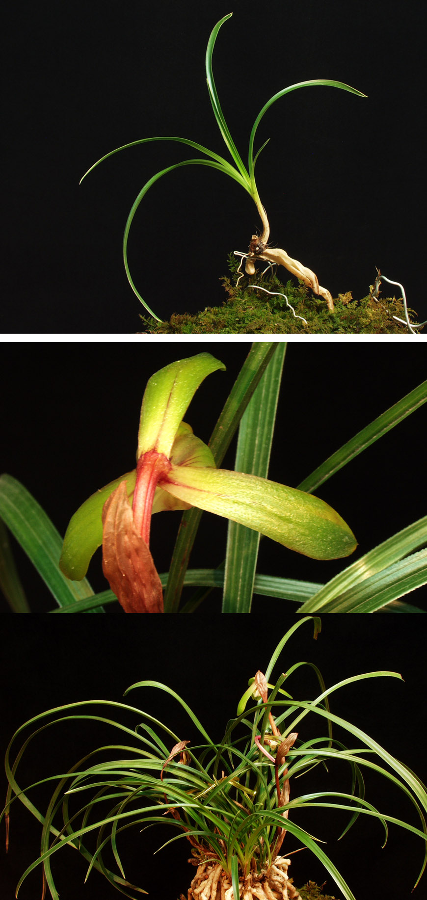 ������ ū������ �� �� �ֽ��ϴ�.