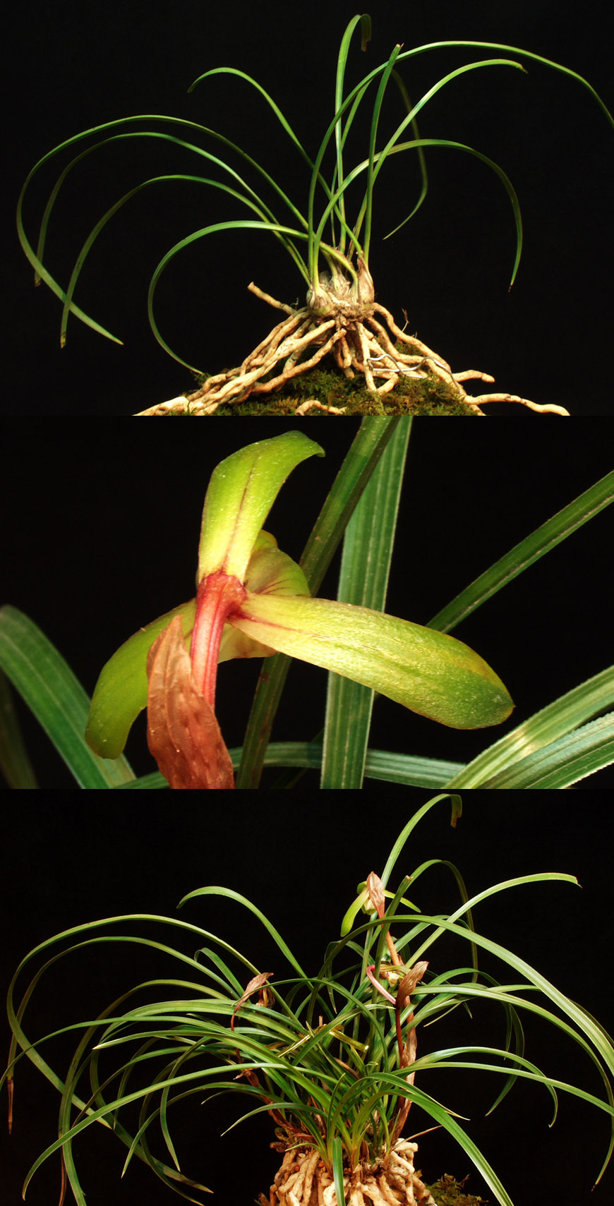 ������ ū������ �� �� �ֽ��ϴ�.