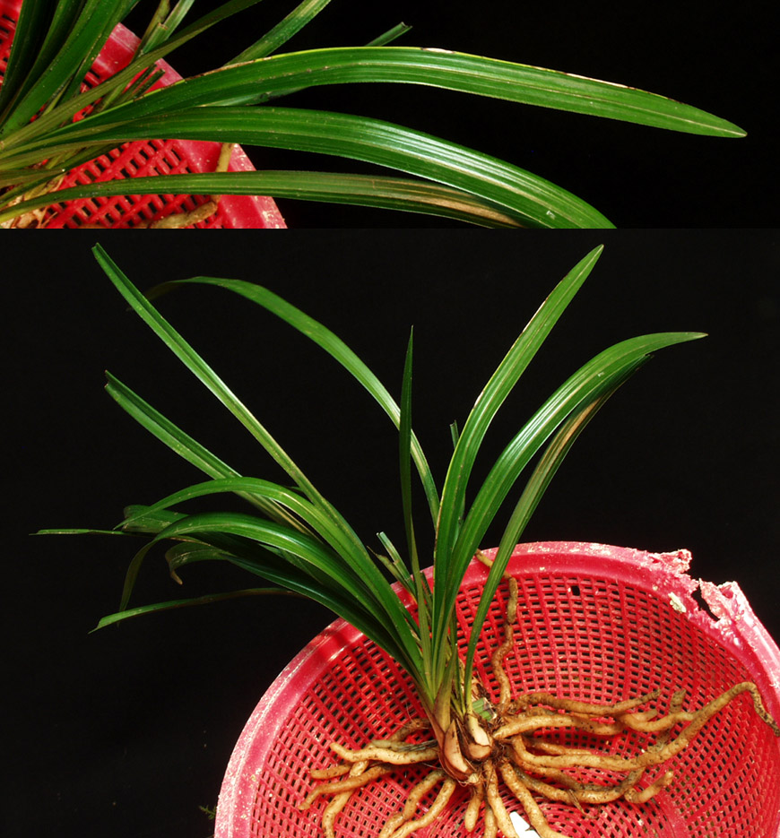 ������ ū������ �� �� �ֽ��ϴ�.