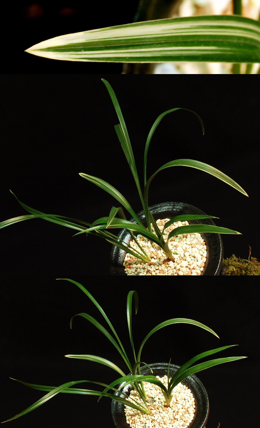 ������ ū������ �� �� �ֽ��ϴ�.