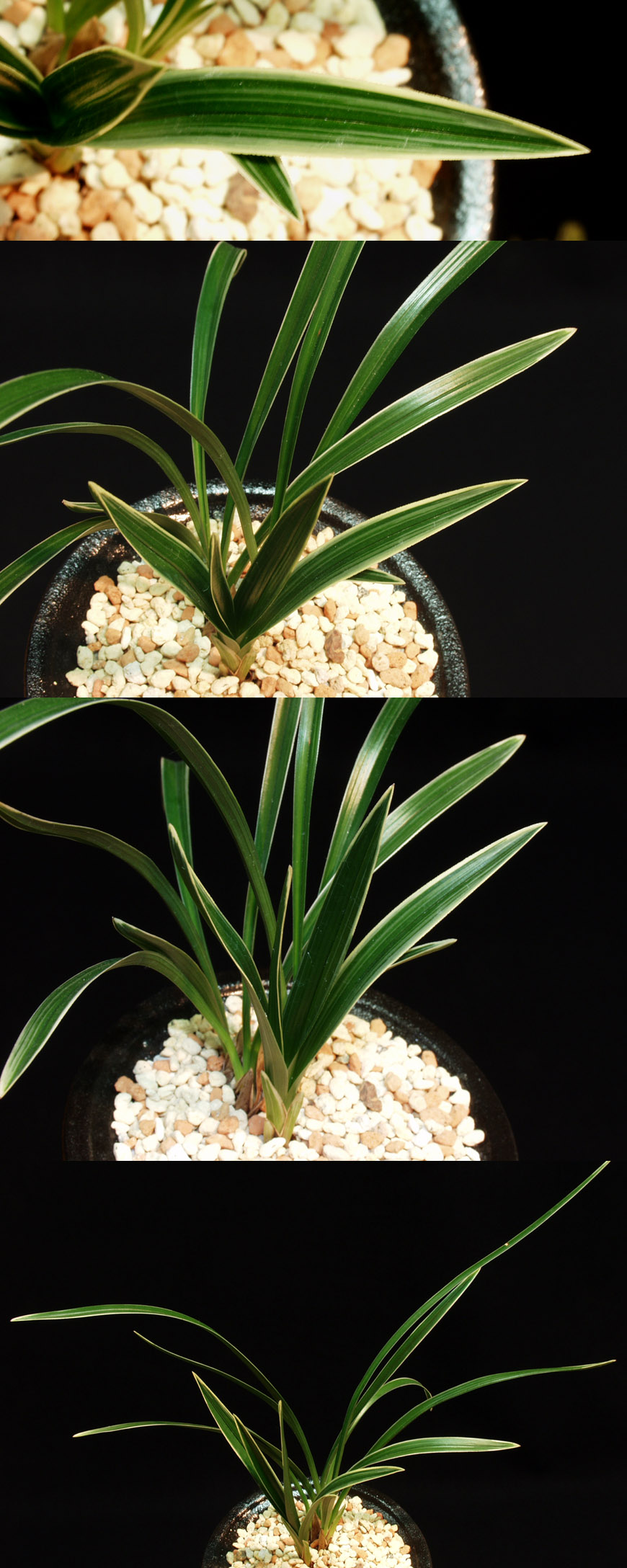 ������ ū������ �� �� �ֽ��ϴ�.