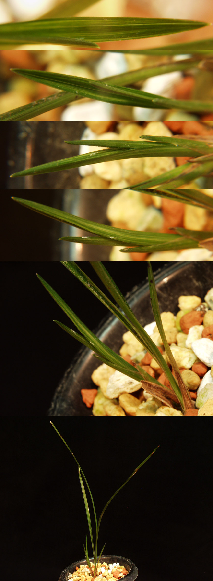 ������ ū������ �� �� �ֽ��ϴ�.