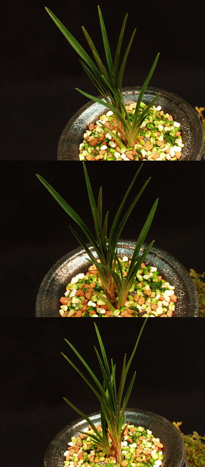 ������ ū������ �� �� �ֽ��ϴ�.