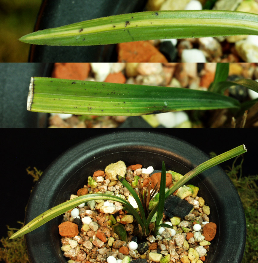 ������ ū������ �� �� �ֽ��ϴ�.