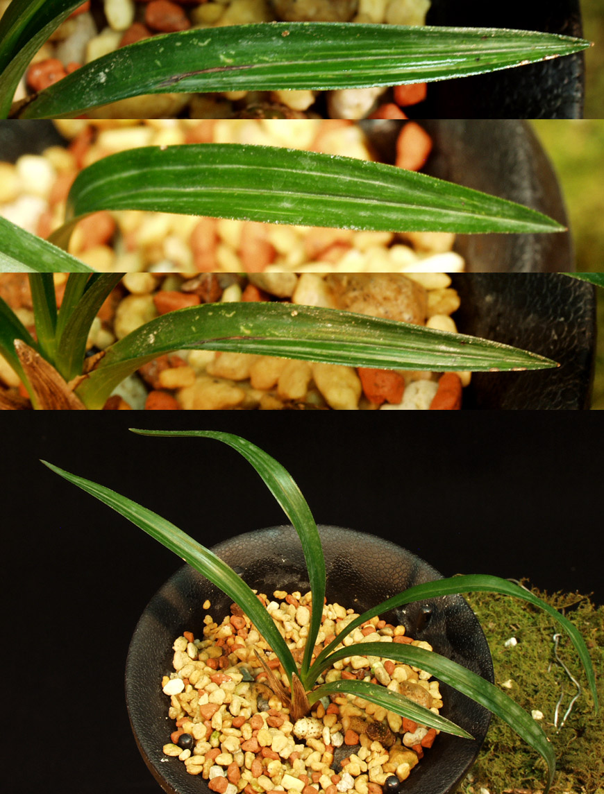 ������ ū������ �� �� �ֽ��ϴ�.