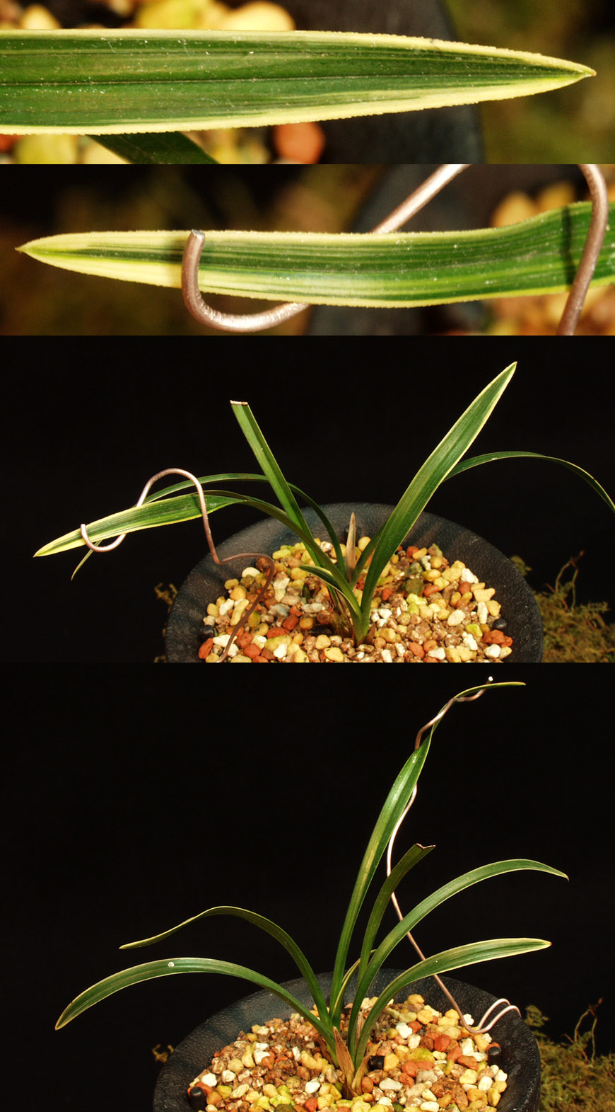 ������ ū������ �� �� �ֽ��ϴ�.