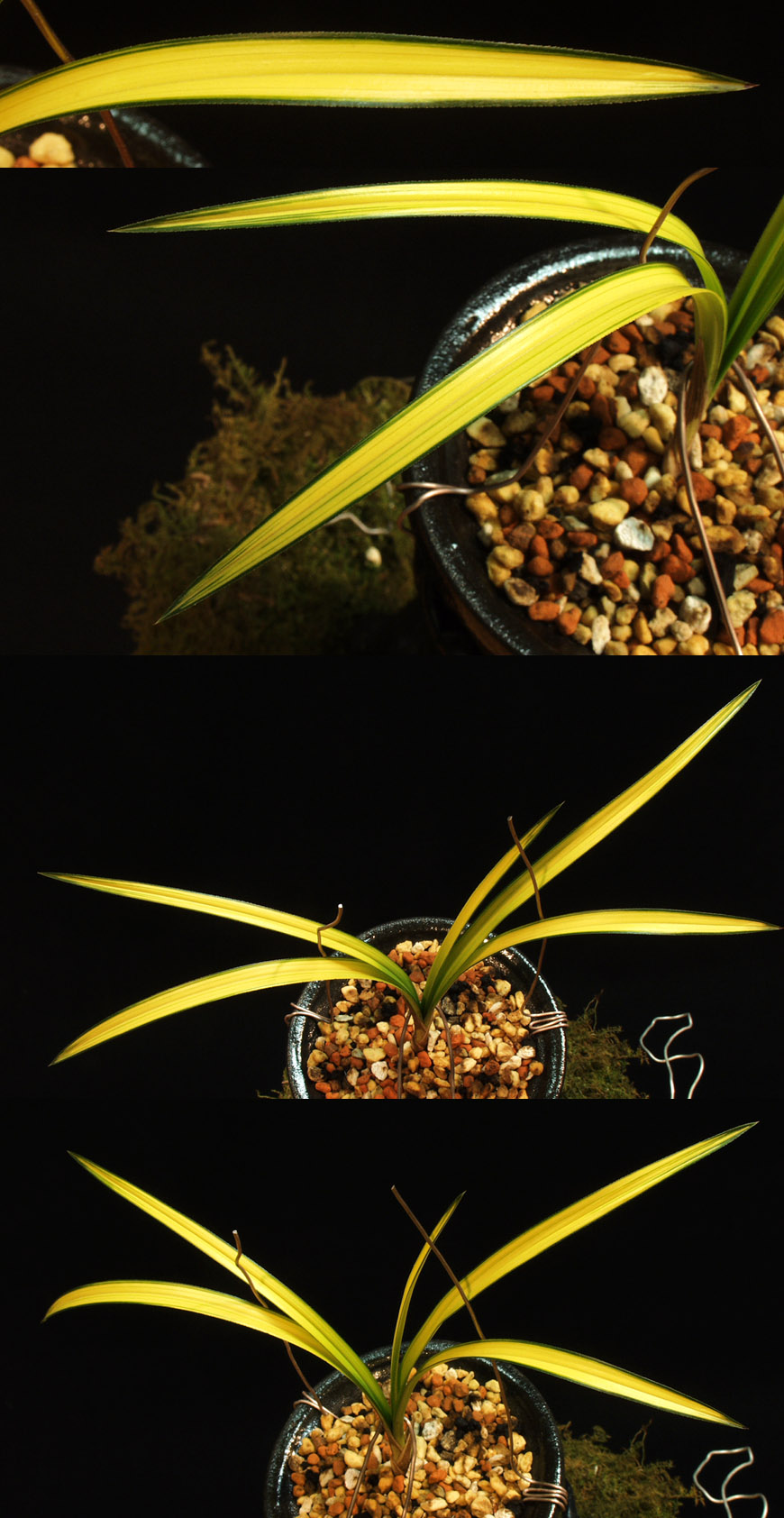 ������ ū������ �� �� �ֽ��ϴ�.