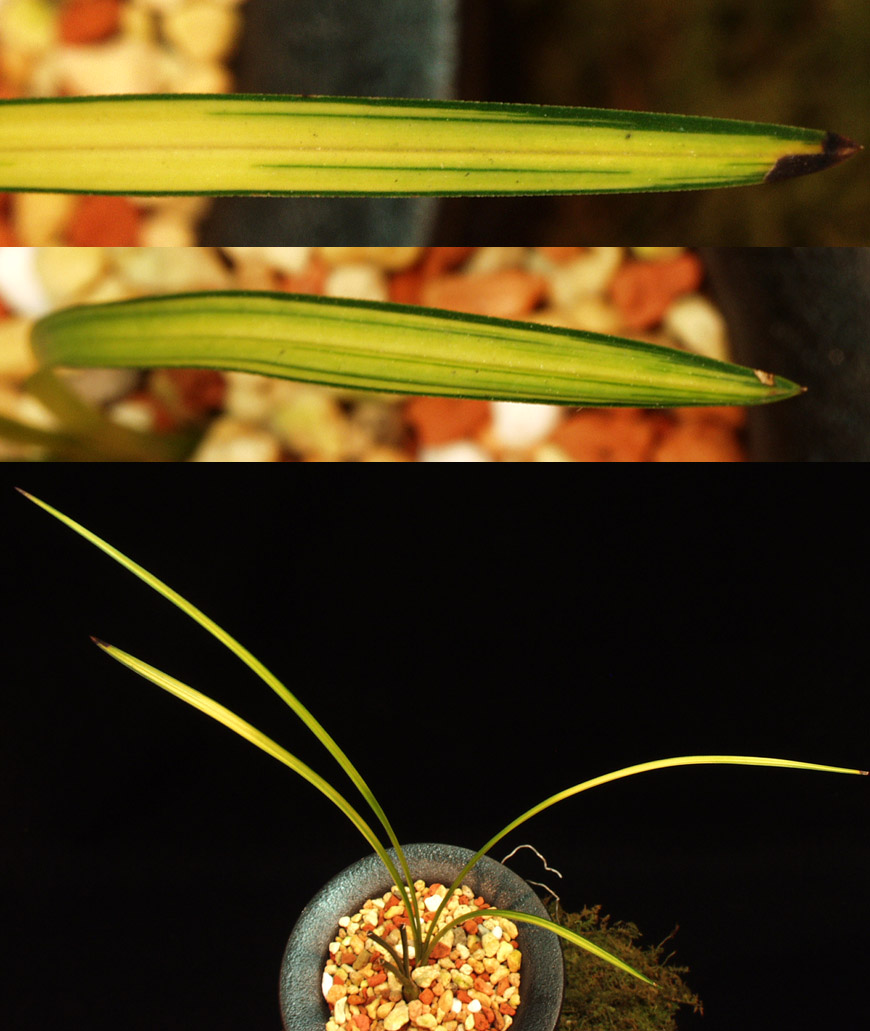 ������ ū������ �� �� �ֽ��ϴ�.