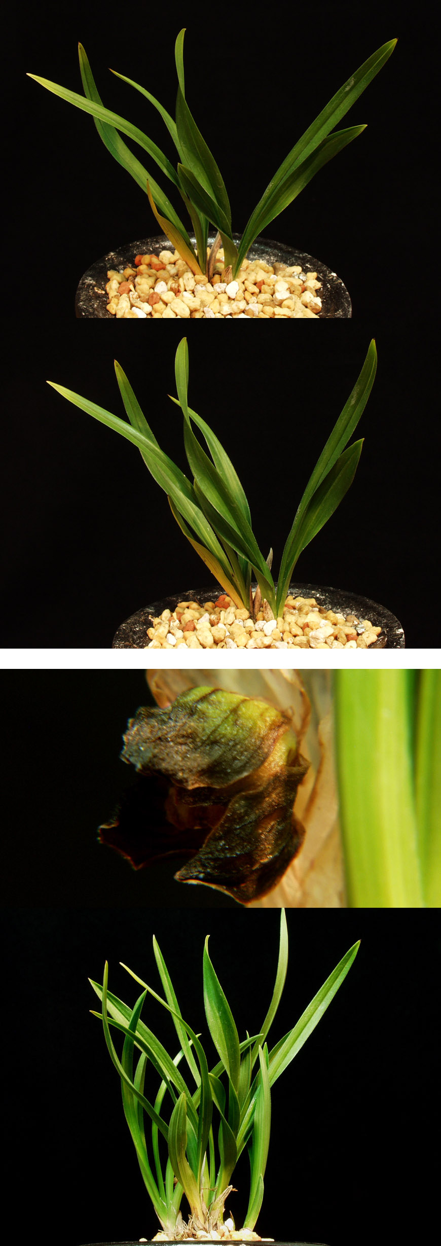 ������ ū������ �� �� �ֽ��ϴ�.