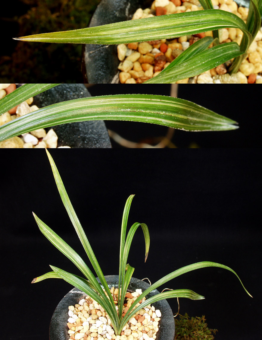 ������ ū������ �� �� �ֽ��ϴ�.