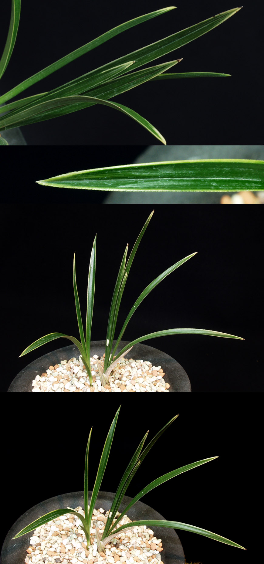 ������ ū������ �� �� �ֽ��ϴ�.