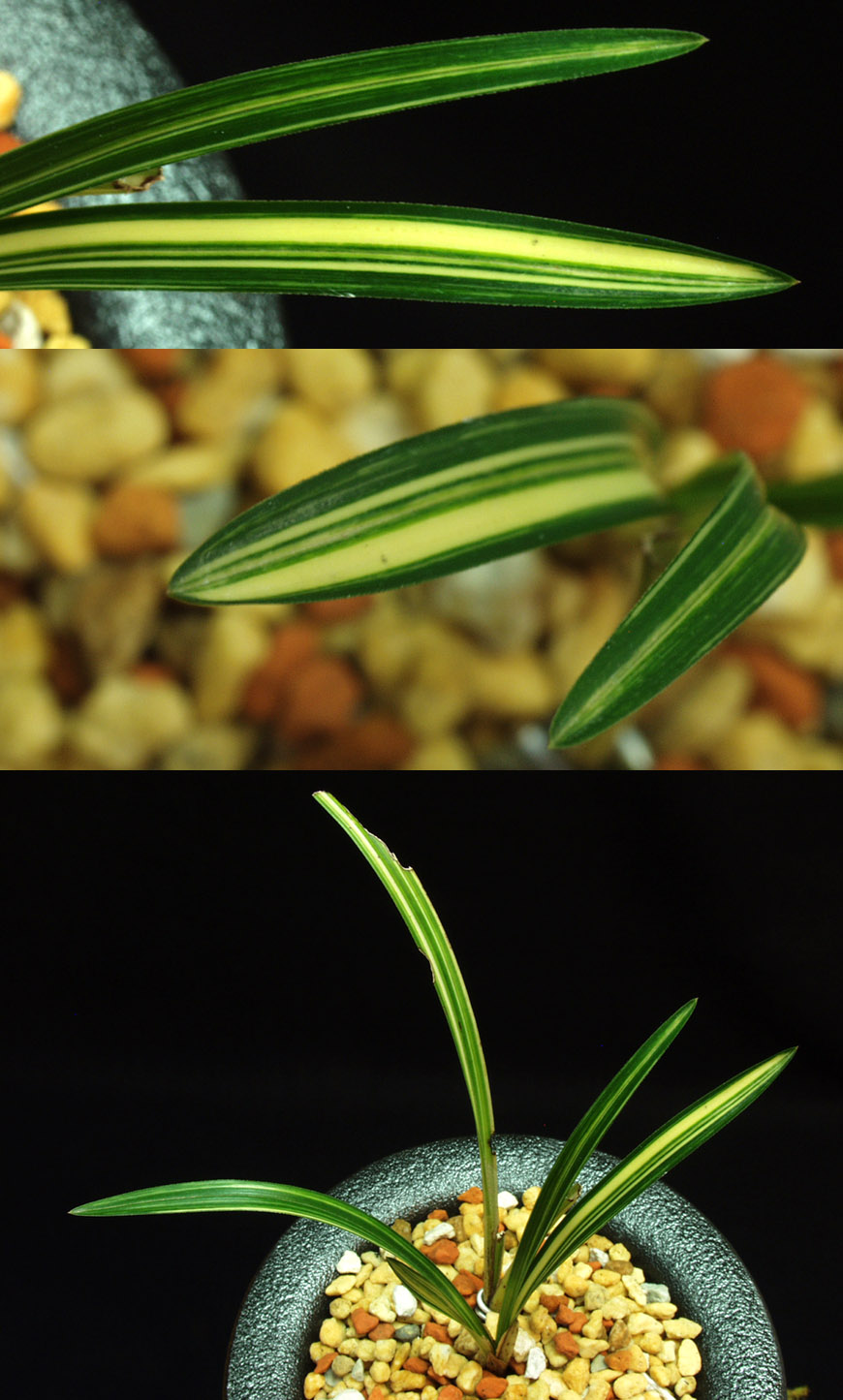 ������ ū������ �� �� �ֽ��ϴ�.