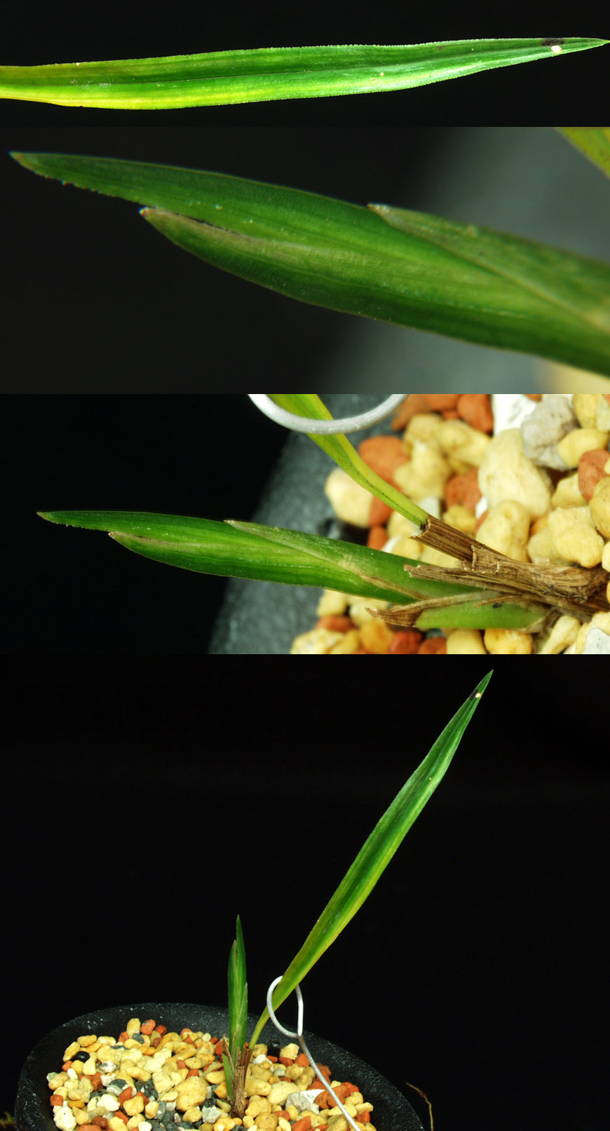 ������ ū������ �� �� �ֽ��ϴ�.