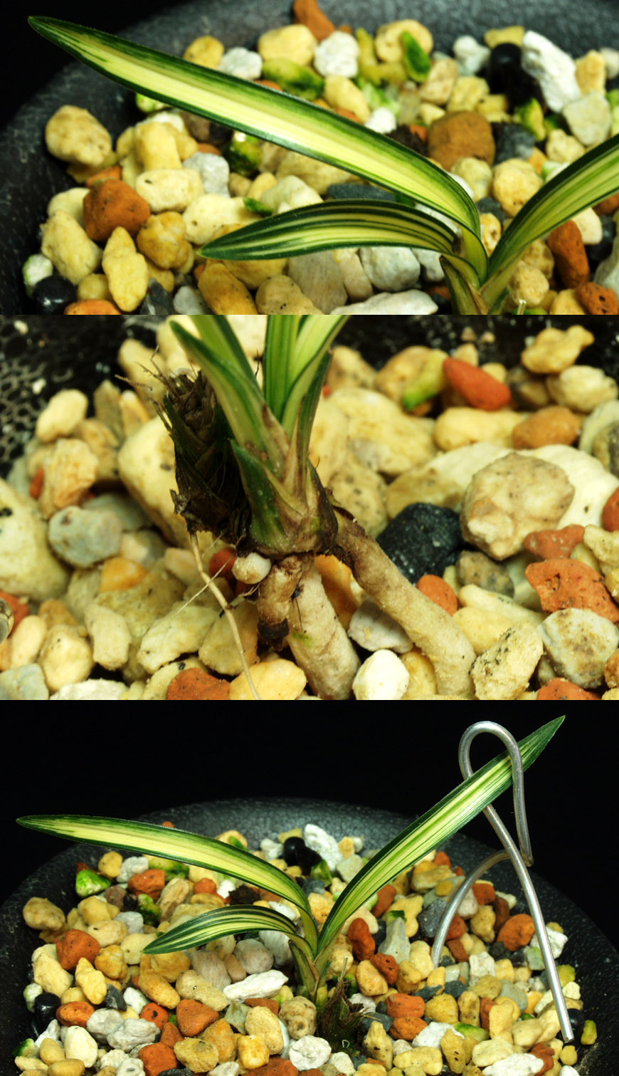 ������ ū������ �� �� �ֽ��ϴ�.