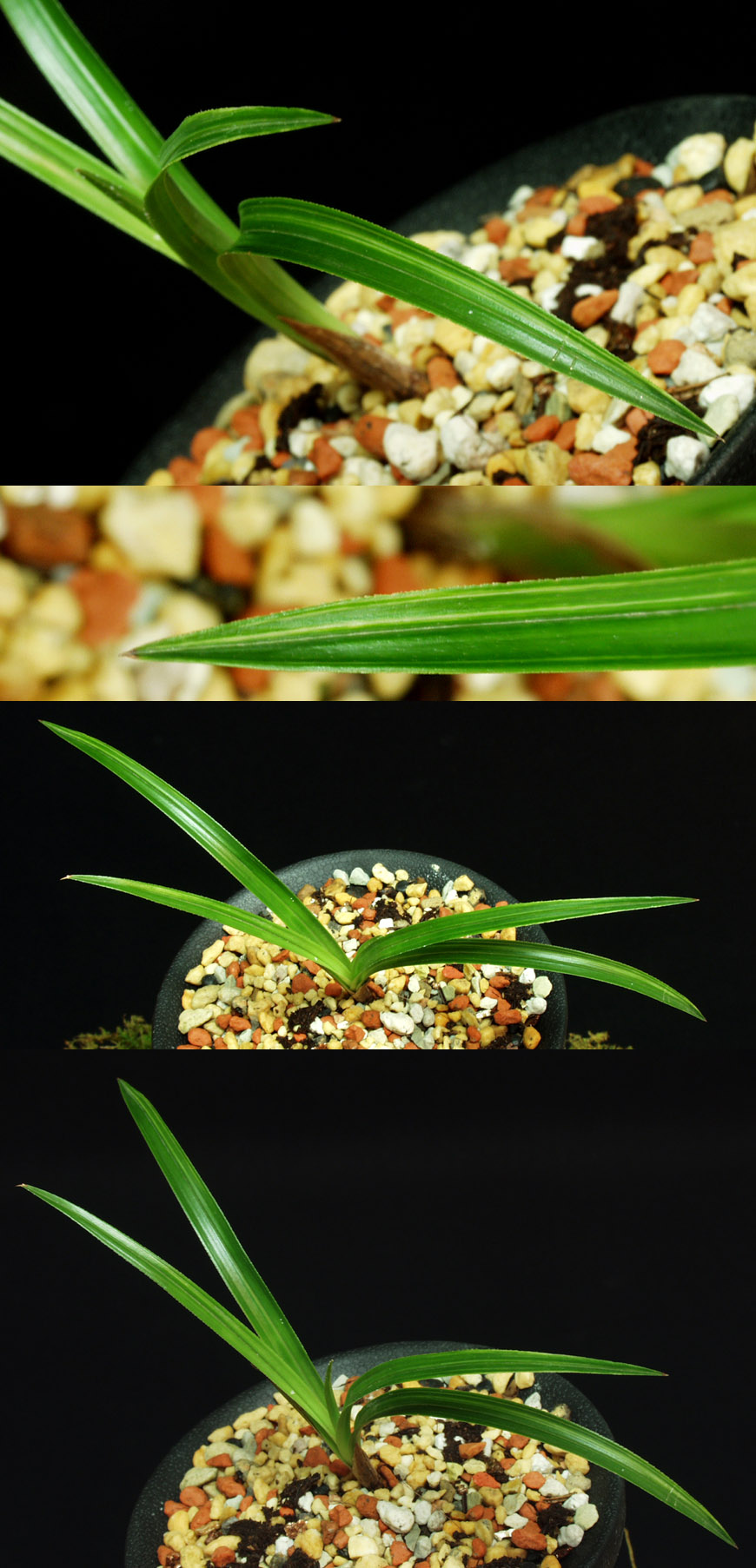 ������ ū������ �� �� �ֽ��ϴ�.