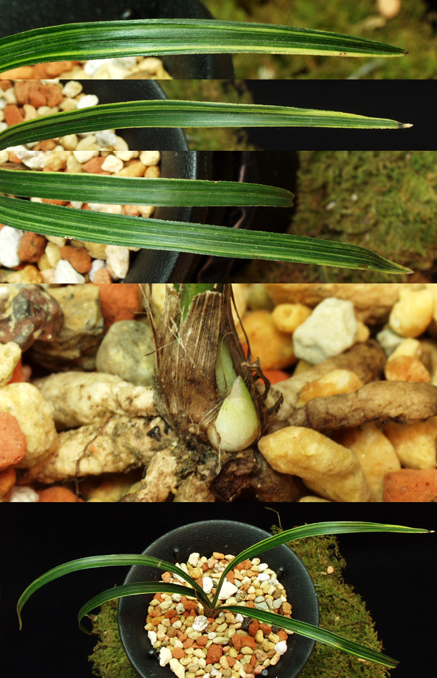 ������ ū������ �� �� �ֽ��ϴ�.