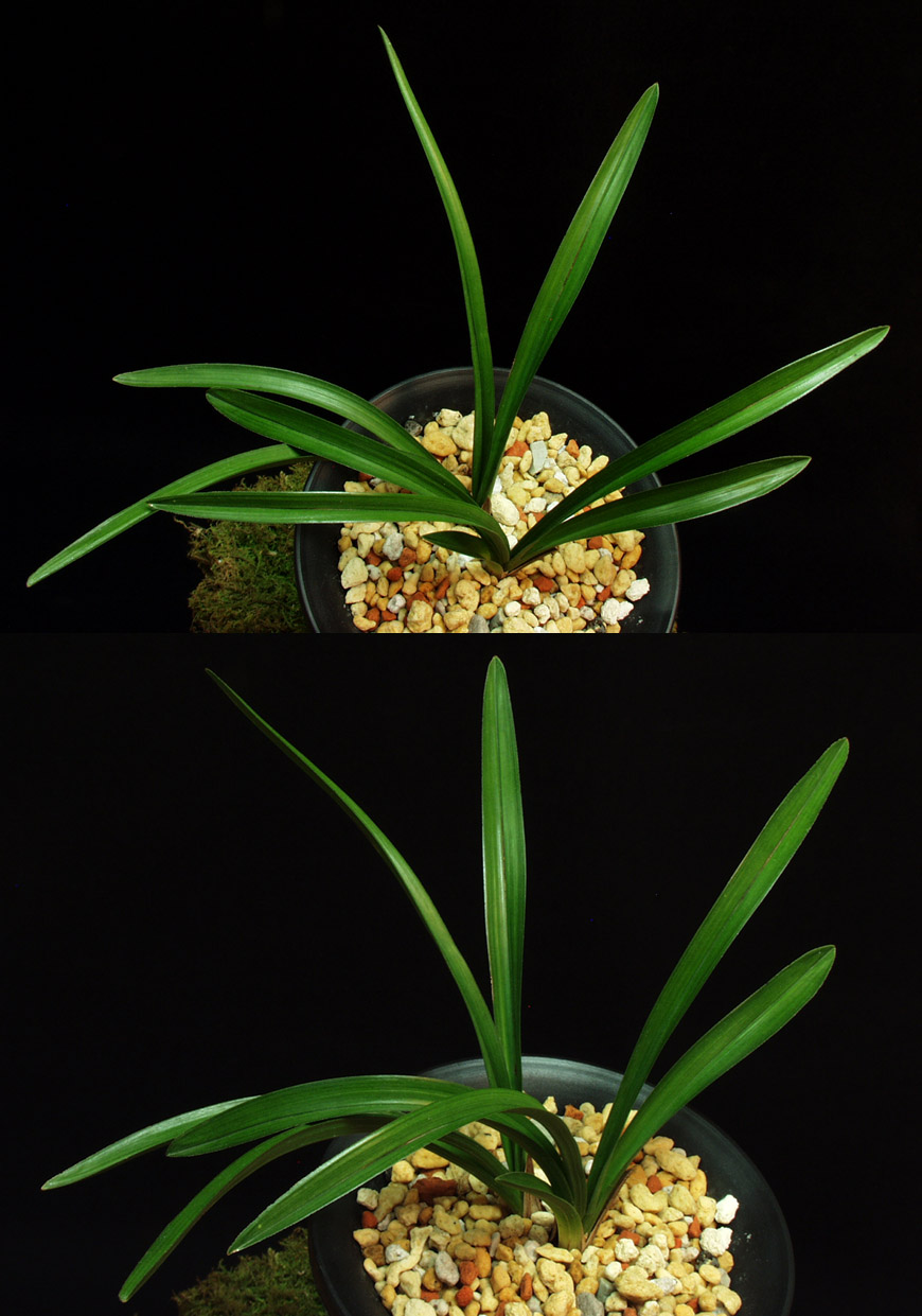 ������ ū������ �� �� �ֽ��ϴ�.