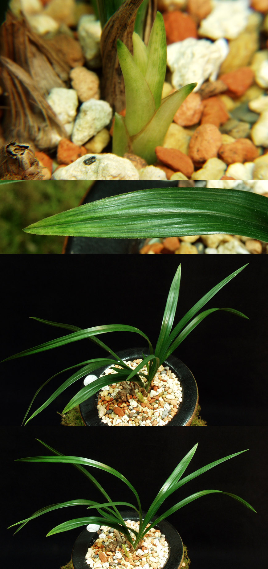 ������ ū������ �� �� �ֽ��ϴ�.