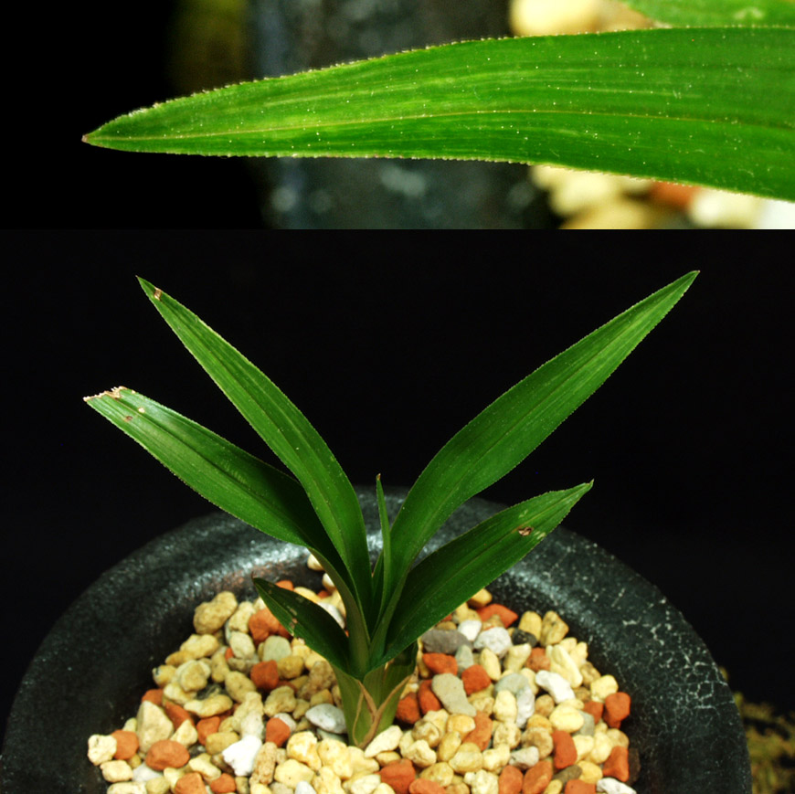 ������ ū������ �� �� �ֽ��ϴ�.