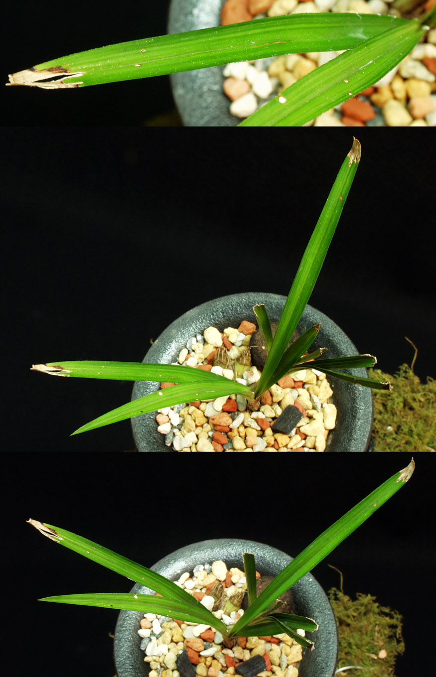 ������ ū������ �� �� �ֽ��ϴ�.