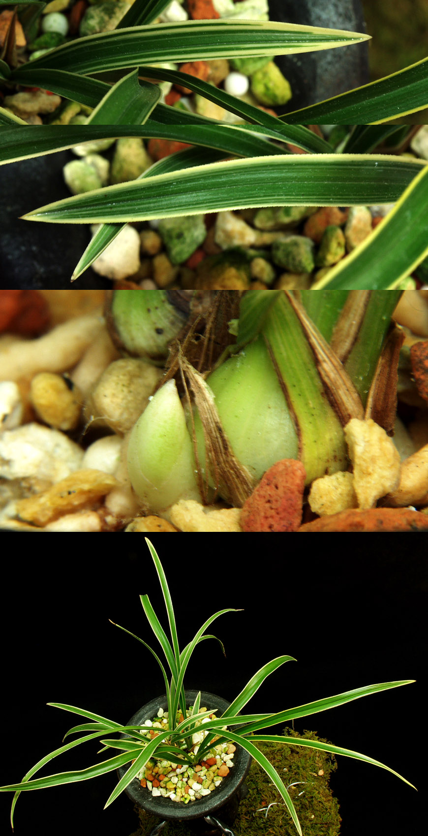 ������ ū������ �� �� �ֽ��ϴ�.