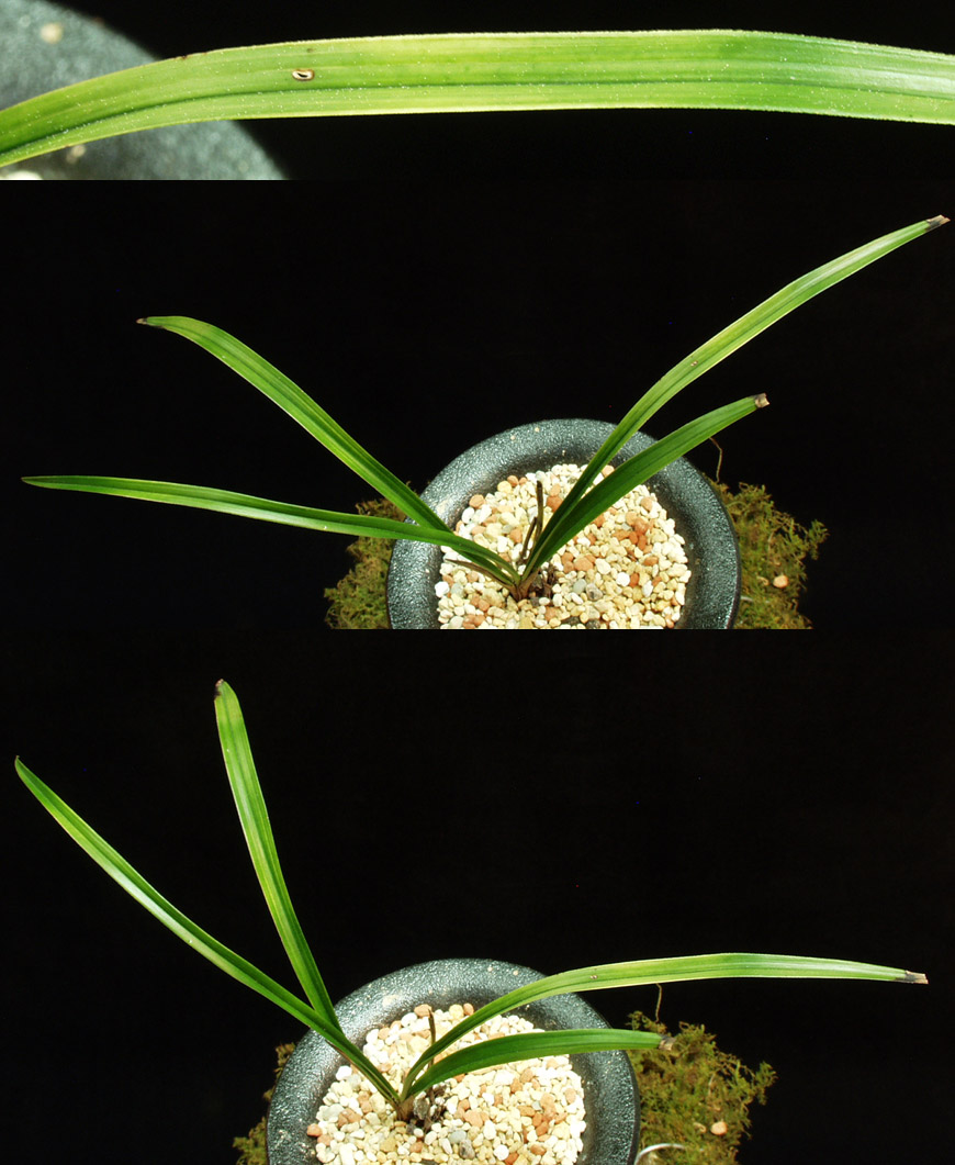 ������ ū������ �� �� �ֽ��ϴ�.