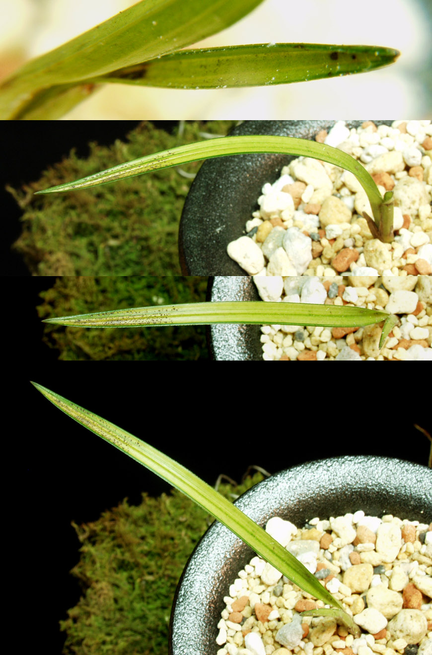 ������ ū������ �� �� �ֽ��ϴ�.