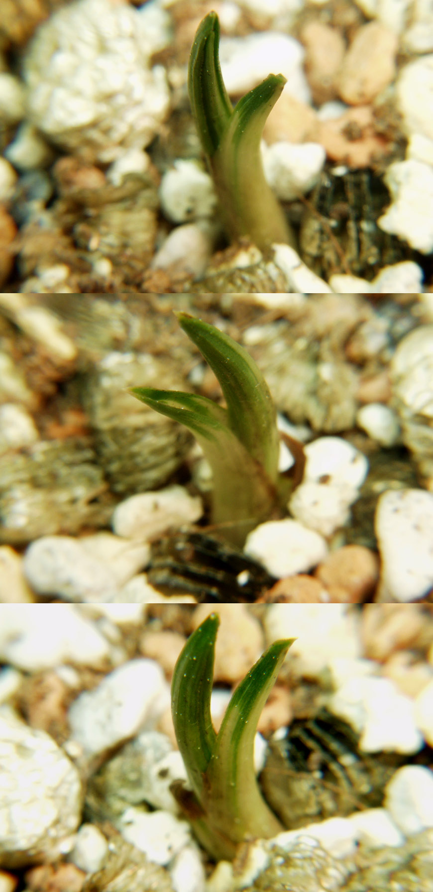 ������ ū������ �� �� �ֽ��ϴ�.