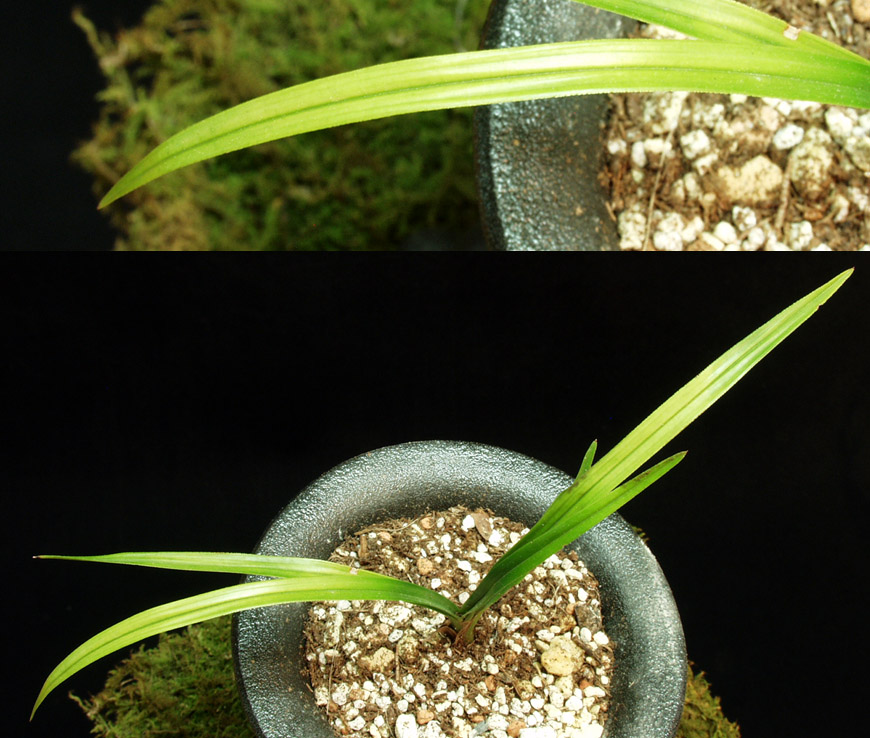 ������ ū������ �� �� �ֽ��ϴ�.