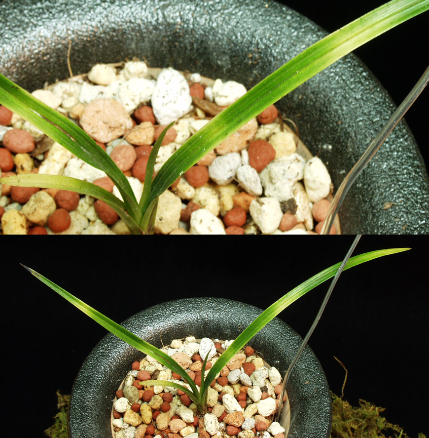 ������ ū������ �� �� �ֽ��ϴ�.