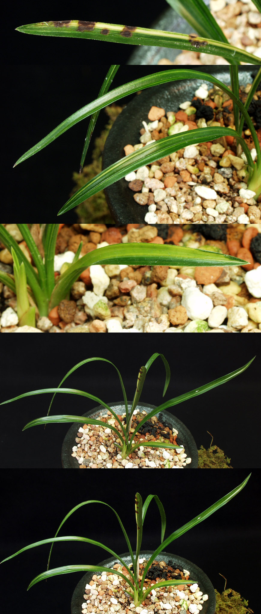 ������ ū������ �� �� �ֽ��ϴ�.